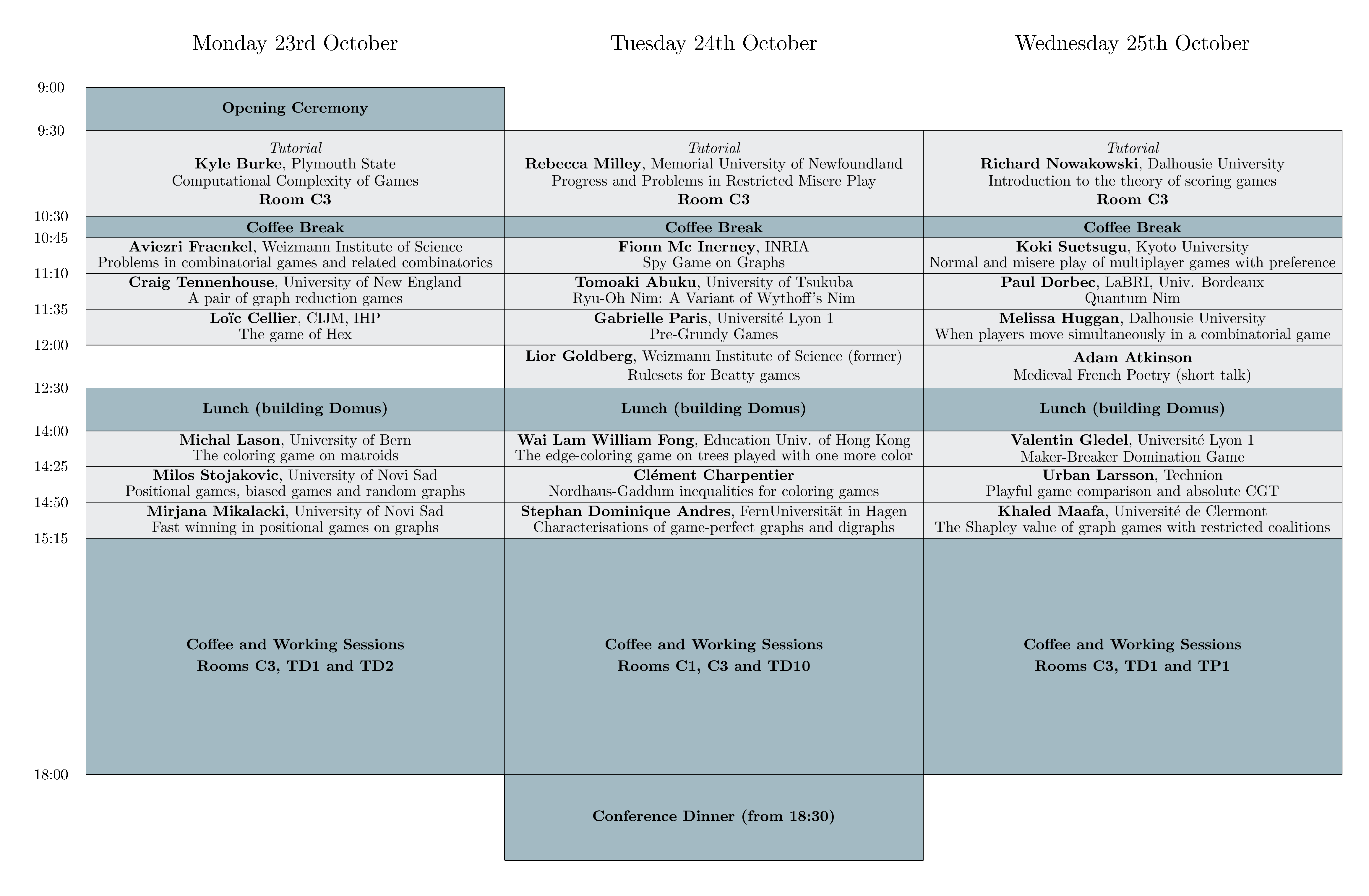 Program of the conference